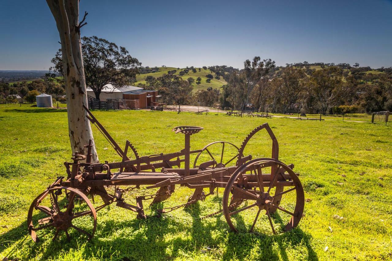 Angaston Saleyards Luxury Accommodation Exterior foto